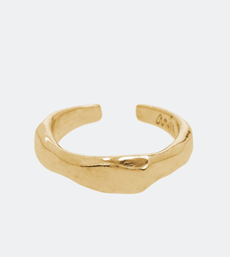 Anzus golden ring
